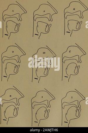 Stuttering and lisping . Plate I. — Mouth Diagrams for Typical English ...