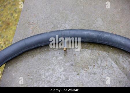 A portrait of part of a blown up inner tire and its valve on a wet rock ready to be used to replace another flat tire. Stock Photo