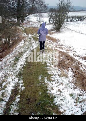 Woman walking Offas Dyke long distance footpath in the snow during winter near Knighton Powys Wales Stock Photo