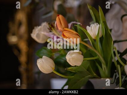 White and Orange Tulips In A Vase With Green Leaves Stock Photo