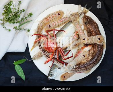 mixed raw fresh fish for the preparation of soup,  Sea bream, scorpion fish, red mullet and goosefish. top view Stock Photo