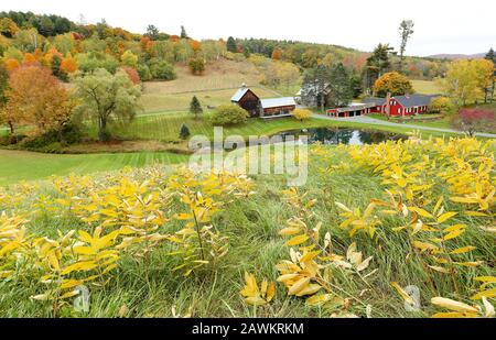 Overlooking a peaceful New England Farm in the autumn, Woodstock, Vermont, USA Stock Photo