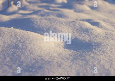 White snow in with warm sunlight and blue shadows Stock Photo