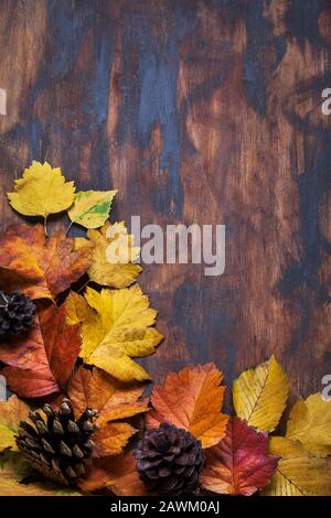Fallen leaves on wooden background, top view, copy space Stock Photo