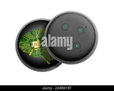 Smart speaker top view with articial intelligence brain circuit inside isolated on white. Stock Photo