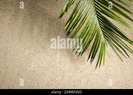 Palms of the Palm Sunday on the sand background Stock Photo