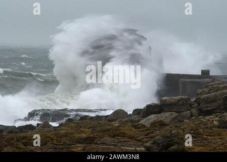 Portland Bill, Dorset, UK.  9th February 2020. UK Weather.  Rough seas whipped up by Storm Ciara smash against Pulpit Rock at Portland Bill in Dorset.  Picture Credit: Graham Hunt/Alamy Live News