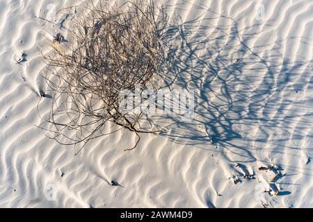 natural structures formed by the wind on the beach in brazil Stock Photo