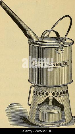 Diptheria, its nature and treatment . Fig. 19.—Steam Atomizer. other supports. There should be an opening- in one side of thetent for ventilation. The air within the tent may be keptsaturated with warm vapor by means of a tube from a croup-kettle, which should be placed outside of it. 240 diphtheria; its nature and treatment. The air in the tent being- thus maintained at an equablewarmth, and draughts being excluded, the room can safely beventilated by opening the window or otherwise, and the evileffect of the impairment of the air by the burning of the alco-hol or other combustible employed, Stock Photo