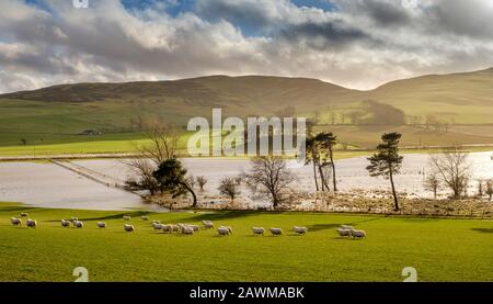 Storm Ciara causes wide spread flooding across agricultural land in the Scottish Borders Stock Photo