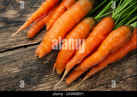 Bunch of fresh organic carrots on a wooden rustic table. Stock Photo