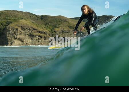 A young male surfer in a black wetsuit rides a yellow longboard surfboard on a  wave at Piha Beach, Piha, West Auckland. Stock Photo