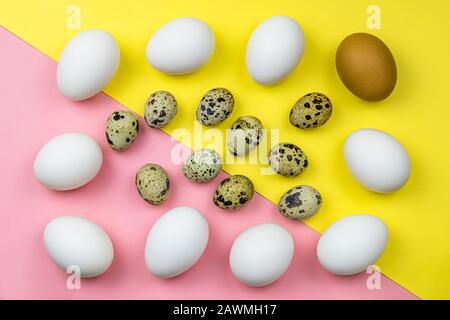 Pattern of white natural eco organic hen eggs and quail eggs organized on colored paper background. food, easter Stock Photo