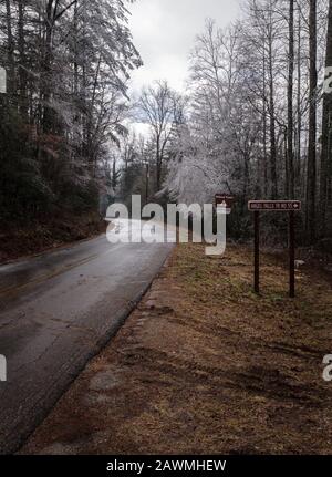 Ice Storm - Rabun County, Georgia. Ice covered trees along Lake Rabun Road at the Angel Falls Trail head the morning after a large ice storm. The Ange Stock Photo