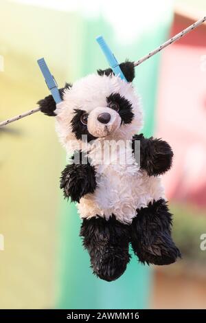 Teddy Bear hanging on the line, Burano, Venice, Italy Stock Photo