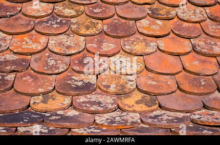 old ceramic shingle with lichens Stock Photo
