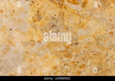 Light colored textured limestone rock Stock Photo