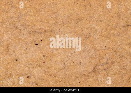 Textured natural colored interior brick wall surface Stock Photo