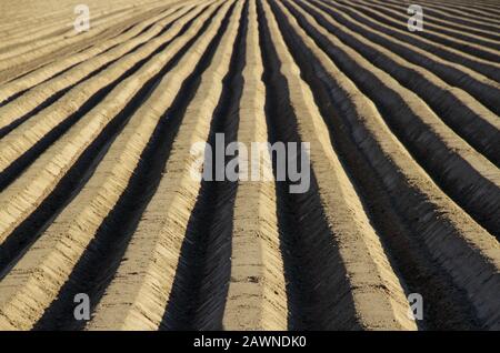 Sets of lines made of stone and concrete extending forward Stock Photo