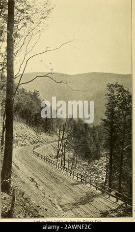 Annual report of the Massachusetts State Forest Commission . Lookins down Cold River from the Mohawk Trai Public Document Wo. 108 SECOND ANNUAL EEPORT The Massachusehs State Forest ? Commission. 1915. Stock Photo
