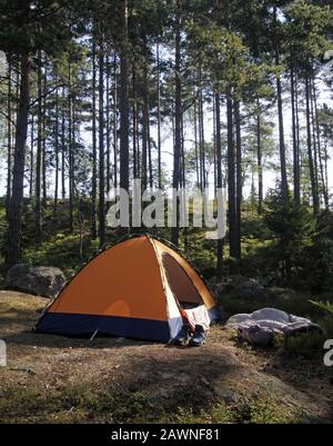 Vertical shot of a sleeping tent in a forest surrounded by trees Stock Photo