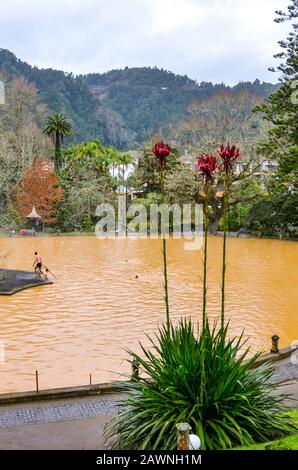 Furnas, Azores, Portugal - Jan 13, 2020: Hot spring iron water thermal pool in Terra Nostra Garden. People swimming in brown color water from a volcanic spring. Portuguese tourist attraction. Stock Photo