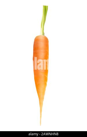 One whole fresh carrot on white background Stock Photo