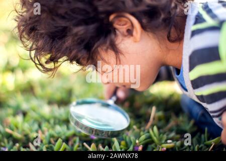A kid boy looking through magnifier at plants outdoor. Children, discovery and botany concept Stock Photo