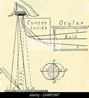 The microscope; an introduction to microscopic methods and to histology . NG WITH THE MICROSCOPE 125 upper one. A small oval hole is then cut out of the center of the sil-vered surface and the two prisms are cemented together in the form ofthe original cube with a perforated 45 degree mirror within it (Fig.109, ab). The upper surface of the cube is covered by a perforatedmetal plate. This cube is placed over the ocular in such a way thatthe light from the microscope passes through the hole in the silveredface and thence directly to the eye. Light from the drawing surfaceis reflected by a mirro Stock Photo