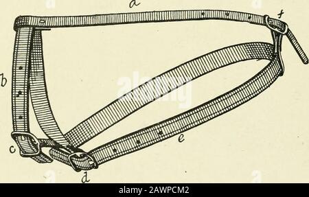 Restraint of domestic animals; a book for the use of students and practitioners; 312 illustrations from pen drawings and 26 half tones from original photographs . Fig. 308. Hungarian Muzzle,. Fig. 309. Adjustable Leather Muzzle. jTx Stock Photo