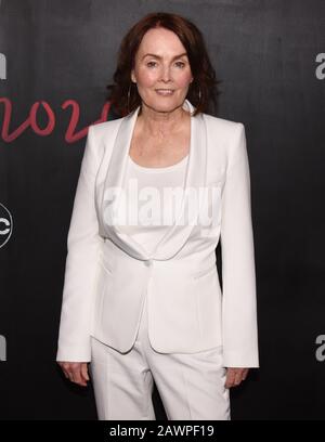 05 February 2020 - Hollywood, California - Laura Innes. 'How to Get Away with Murder' Series Finale at Yamashiro. Photo Credit: Billy Bennight/AdMedia/MediaPunch Stock Photo