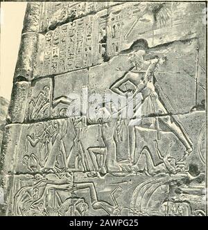 elfbar nachfüll pod läuft aus Achaemenid Assyria main image 1