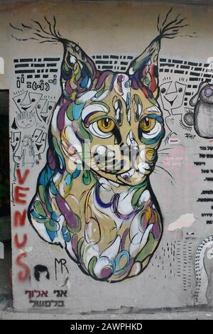 Cat face graffiti in Florentin Tel Aviv Stock Photo