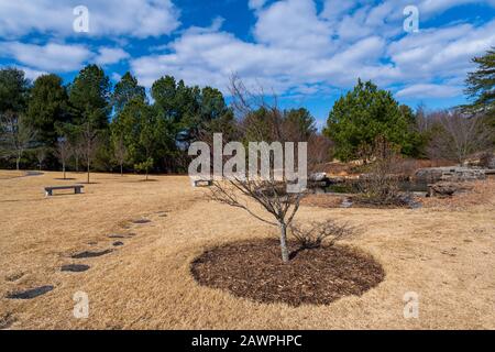 A wide angle photo of the grounds of the Korean Gardens section of the Meadowlark Botanical Gardens in Vienna, Virginia. Stock Photo