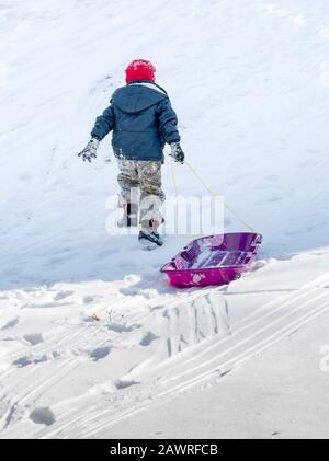 Young boy walks up a snowy hill, pulling a plastic purple sled behind him for another fun ride down Stock Photo