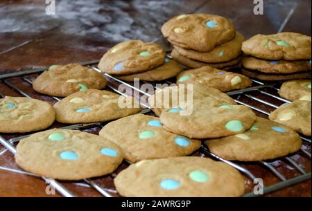 Home made cookies with pastel chocolate dots cool on metal racks Stock Photo