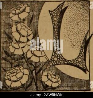 Christian herald and signs of our times . escaped. Two others,who were elderly people, were carried down bythe firemen. The girl, however, who was afliece of the old couple, could not be found. Shehad been the first to see the flames coming outof the elevator-shaft and had been much terri-fied. It was supposed that she had made herescape by the stairs, but instead of doing so shehad gone into a closet aud shut herself in. Aft-er the fire was extinguished her dead body wasfound in the closet. She had evidently beensuffocated by the smoke. She might have beensaved if she had taken the way of esc