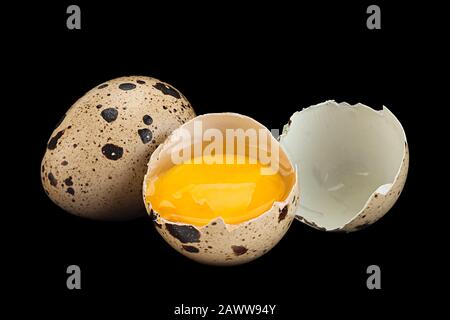 Quail eggs closeup isolated on black background Stock Photo