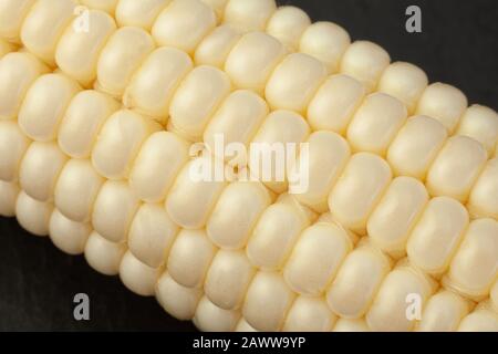 White Sweet corn vegatable closeup corn seeds background Stock Photo