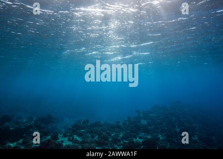 Sun Rays in Blue Ocean, Apataki, Tuamotu Archipel, French Polynesia Stock Photo