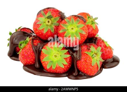 Fresh strawberries with melted chocolate sauce isolated on a white background Stock Photo