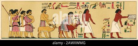 Color image. Old empire. Dynasty XII Beni Hassan. Beni Hasan Tomb 2nd north side, ancient Egyptian empire. Egypt. Old engraving illustration Stock Photo