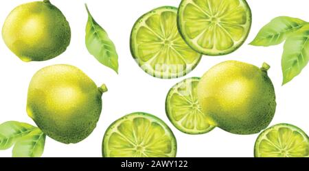Green lime fruits with slices and leaves. Banner with isolated background Stock Vector