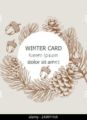 line art pine cones. Ink graphic twig of conifers evergreen tree. Hand ...