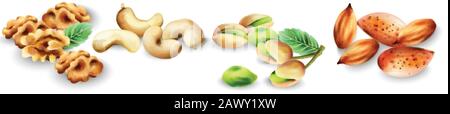Watercolor set of organic nuts. Pistachio, cashew, walnut and almonds. Vector Stock Vector