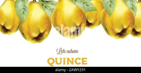 Late autumn quince with leaves in watercolor style. Vector Stock Vector