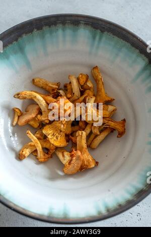 Chanterelle Mushrooms Stock Photo