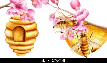 Watercolor bees building a honeycomb on sakura tree branches. Vector Stock Vector