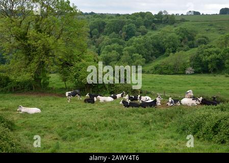 Lansdown scenes and views, Bath and Northeast Somerset, UK Stock Photo