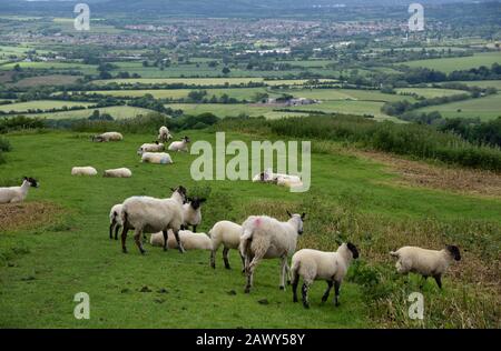 Lansdown scenes and views, Bath and Northeast Somerset, UK Stock Photo